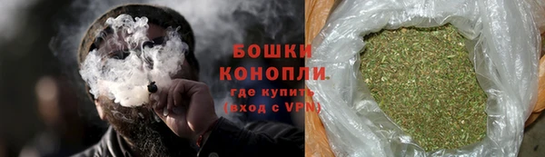 сатива Кодинск
