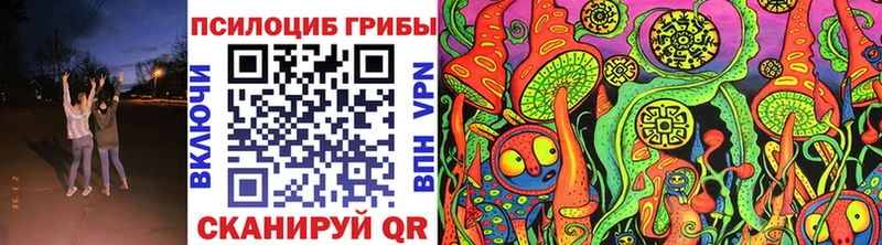 Купить где  Черногорск  Псилоцибиновые грибы мицелий 